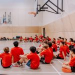 Drive Basketball